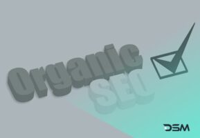 DSM Digital School of Marketing - organic SEO