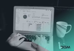 DSM Digital School of Marketing - customer data
