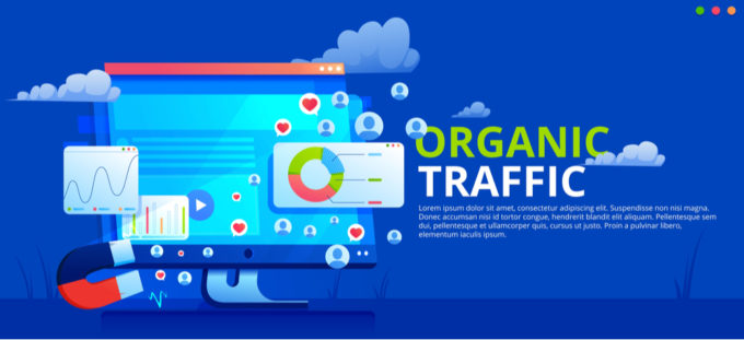 DSM Digital School of Marketing - organic traffic