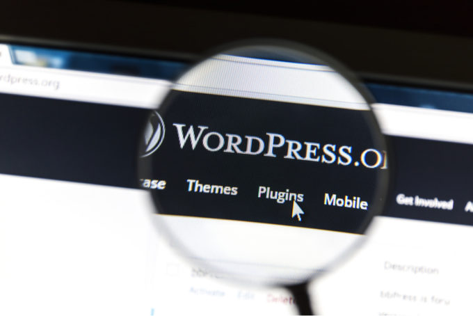 DSM Digital School of Marketing - wordpress