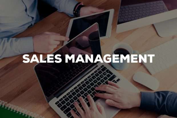 What Does a Digital Sales Manager Do?