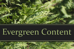 DSM Digital School of Marketing - evergreen content